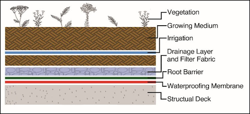 green roof section.png