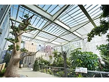 VIT_Aviary_Cunningham.jpg