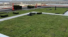 Hydropack Roof Garden System.jpg