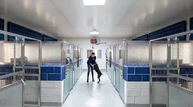 Grapevine Animal Shelter_Interior.jpg