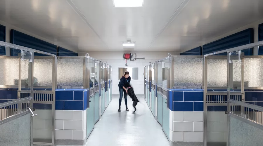 Grapevine Animal Shelter_Interior.jpg