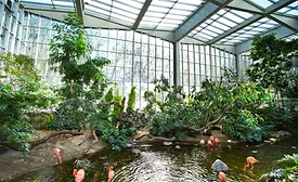 The National Aviary’s Wetlands Habitat