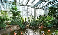 The National Aviary’s Wetlands Habitat