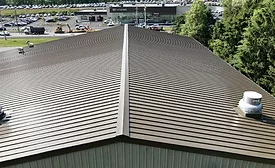 Untitled design(29).jpg