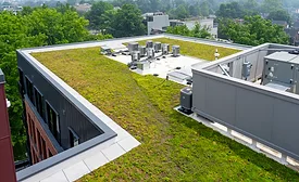 A Roof Garden Application