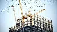 low-angle-photography-of-cranes-on-top-of-building