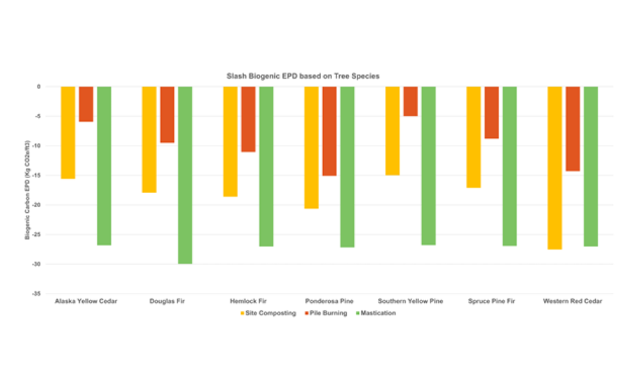 Figure 7. Adjusted biogenic carbon comparison by tree species and slash management scenarios