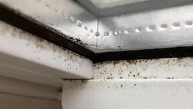 mold, mildew and bacteria, which are common in HVAC systems, restrooms and areas exposed to high humidity