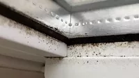 mold, mildew and bacteria, which are common in HVAC systems, restrooms and areas exposed to high humidity
