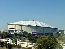 Tropicana Field roof replacement