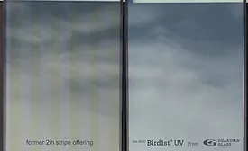 comparison of Bird1st versues old design