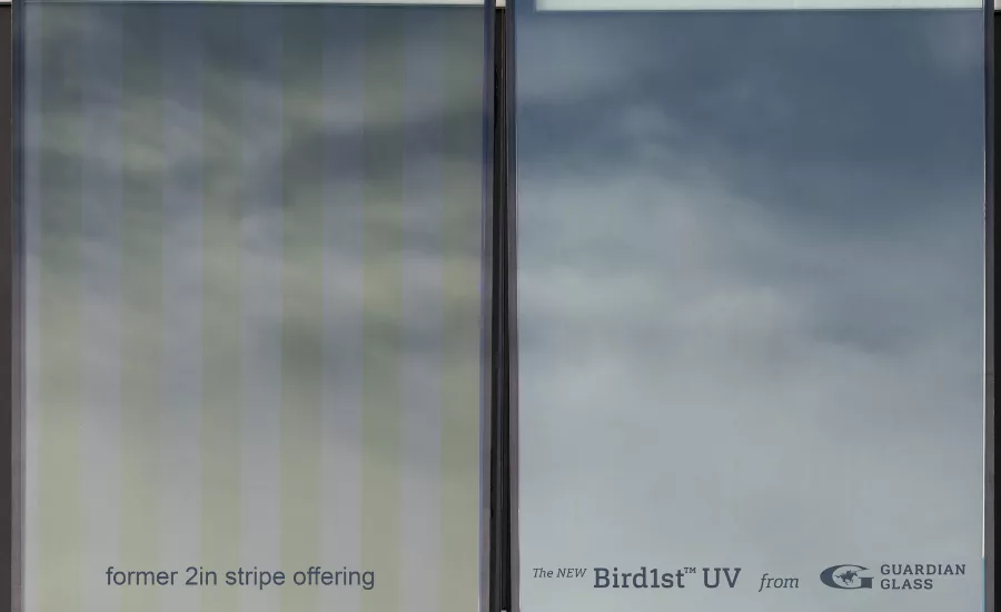 comparison of Bird1st versues old design