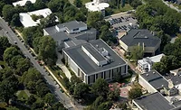 black roof tree  canopy EPDM on a roof
