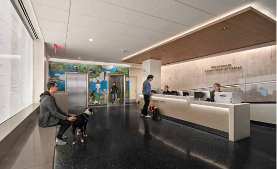 Manhattan’s Schwarzman Animal Medical Center interior lobby space with elevators