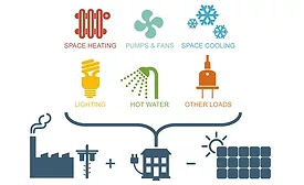 Living SUstainble