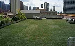 Harvard University soccer field