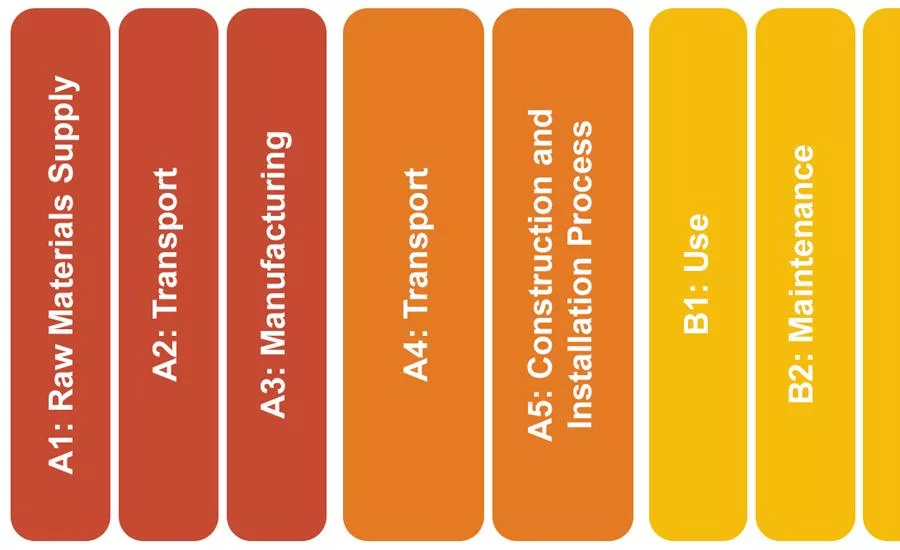 life cycle changes