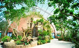 National Aviary