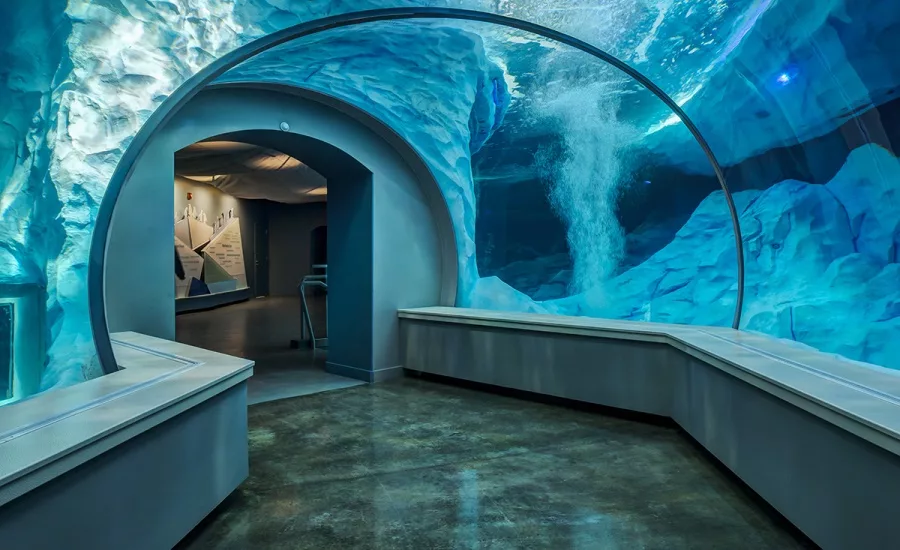 Polk Penguin Conservation Center4