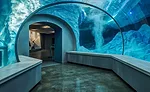 Polk Penguin Conservation Center4