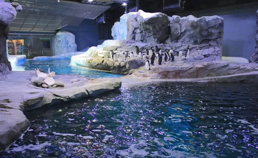 Polk Penguin Conservation Center6