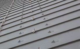 Zinc Roofs