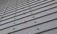 Zinc Roofs