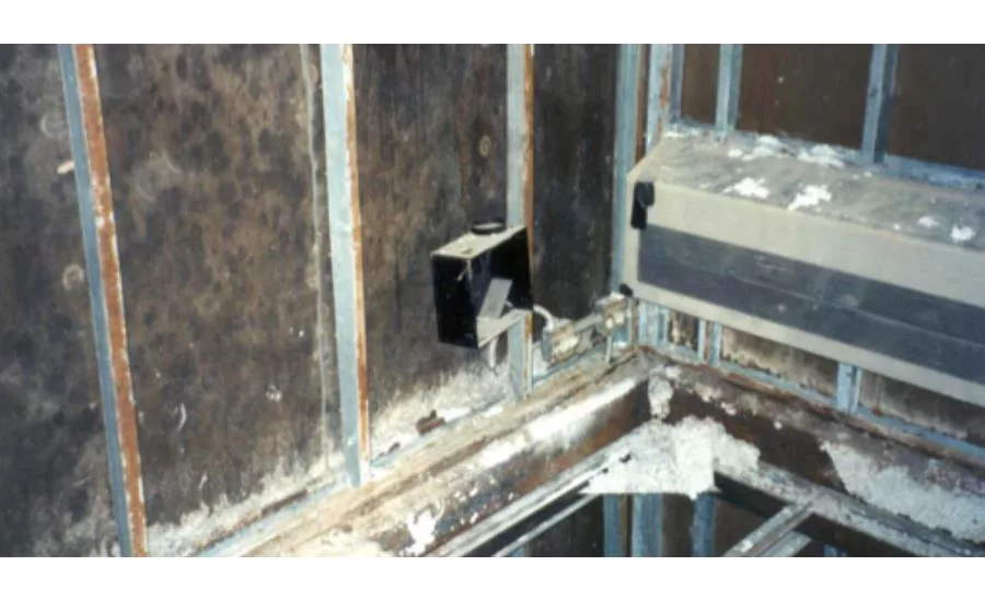 mold in construction