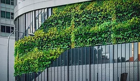 biomimetic-architecture (002).jpg