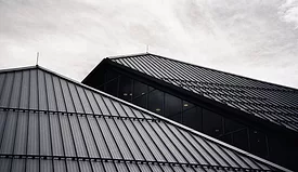 ryunosuke-kikuno-Mu9uo42SXEY-unsplash (002).jpg