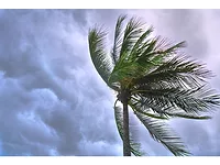 pexels-suparerg-suksai-1030320.jpg