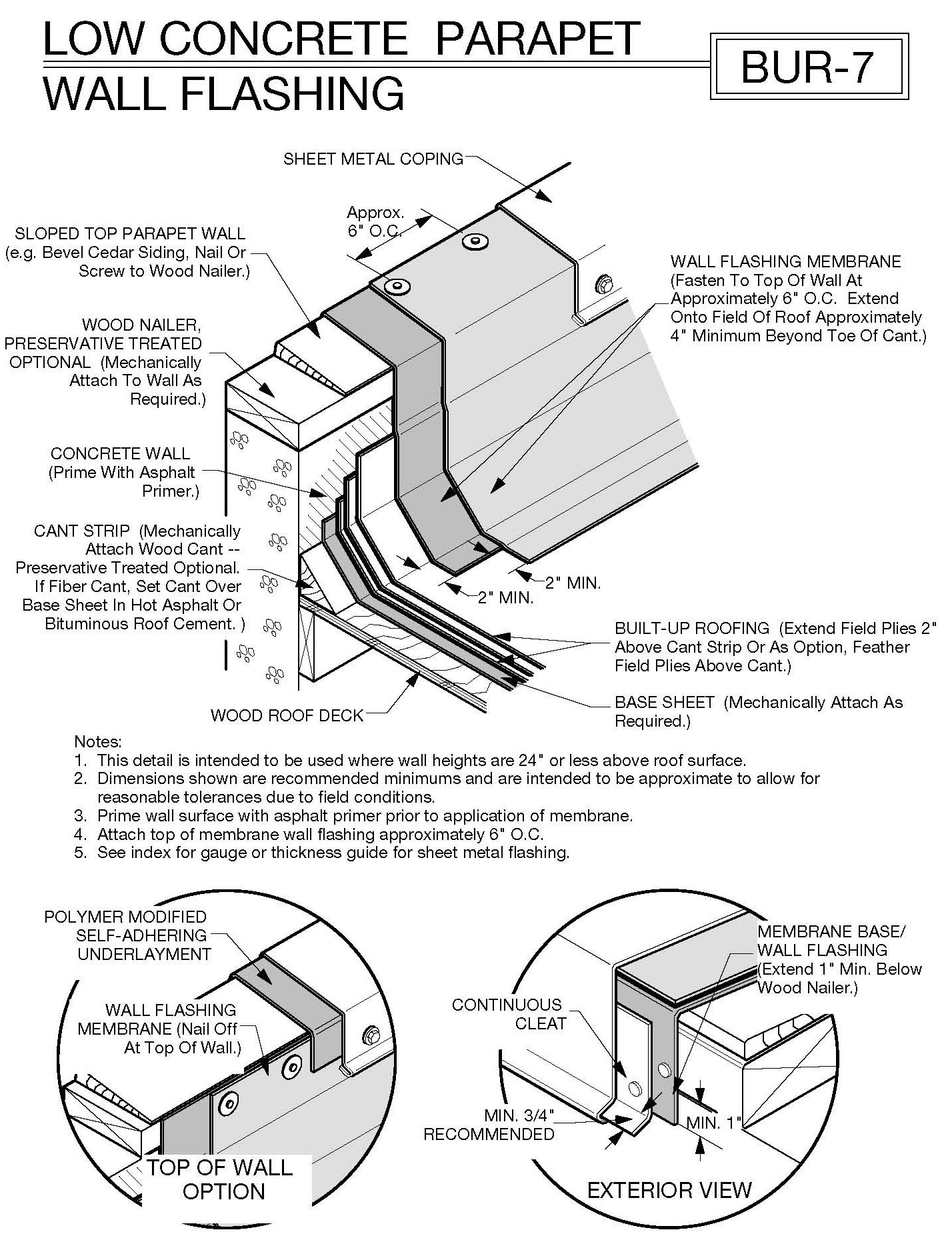 BUR 7 in body