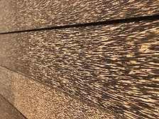 PalmShell-2.jpg