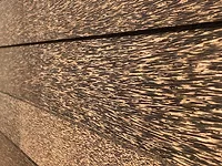 PalmShell-2.jpg