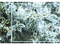 Saflex FlySafe 3D_Interior Black Dots (002).jpg