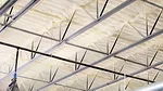 Geismar Ceiling.jpg
