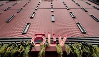 Oliv.JPG