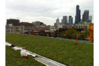 Seattle's First Hill Green Roof