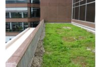 Xero Flor Green Roof at MetroTop Plaza
