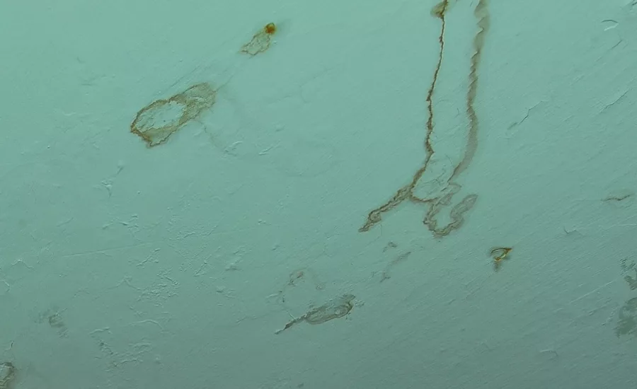 plaster conservation