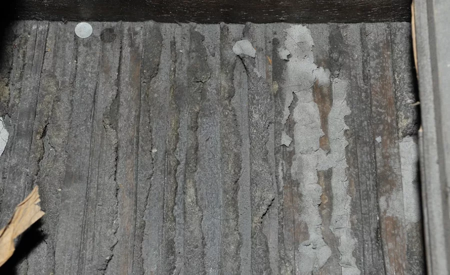 plaster conservation