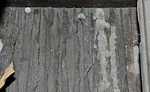 plaster conservation