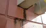 Concrete or Stucco