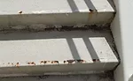 Concrete or Stucco