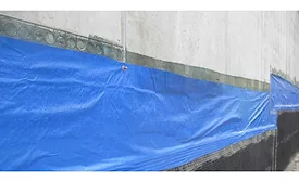 photo 2-web.jpg