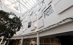 Rockfon Acoustic Ceiling 1