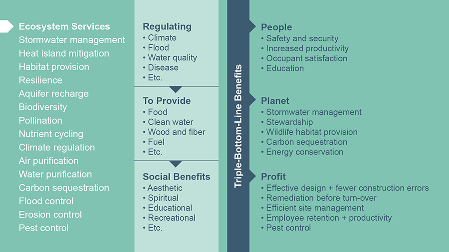 Figure 1: Ecosystem Services