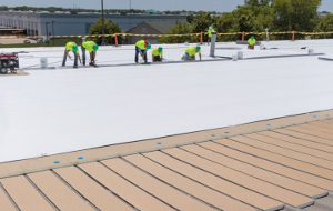 Single-Ply Systems