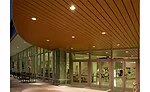 CEU Rockfon Metal Ceilings