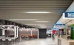 CEU Rockfon Metal Ceilings